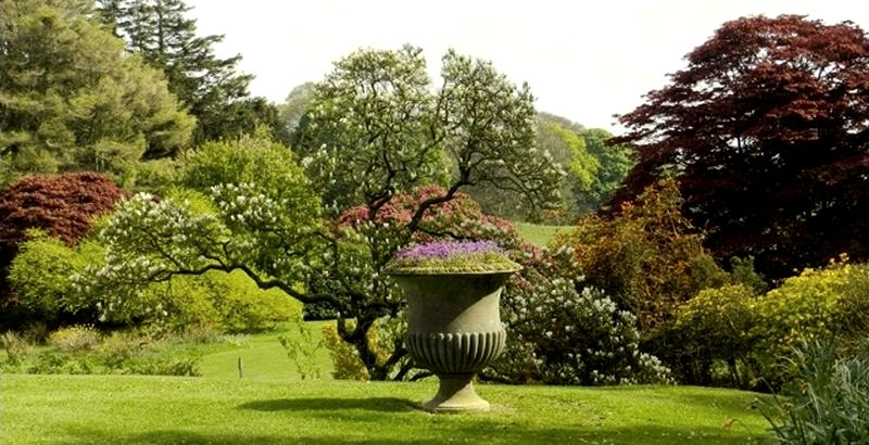 holiday cottage near coast