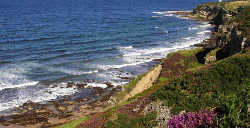 Scottish mansion to rent