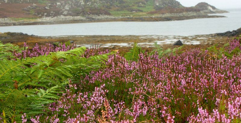 holiday cottage Argyll