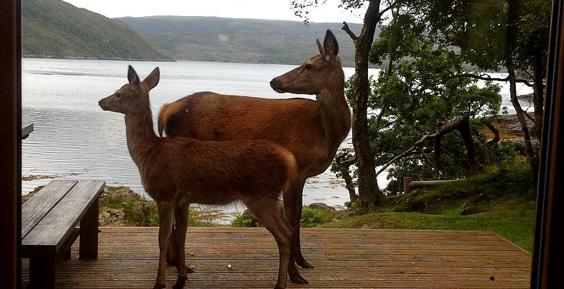 holiday cottage Argyll