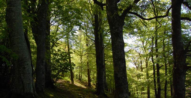 Self Catering in Scotland