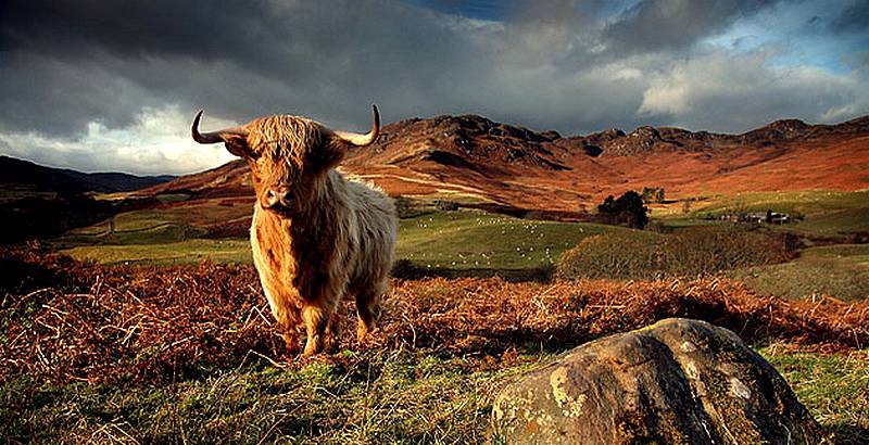 Self Catering in Scotland