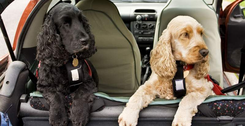 Self Catering in Scotland