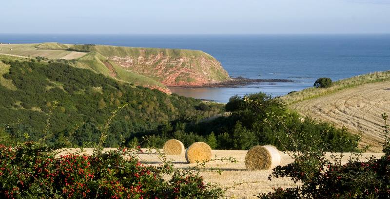 Self Catering in Scottish Boreders