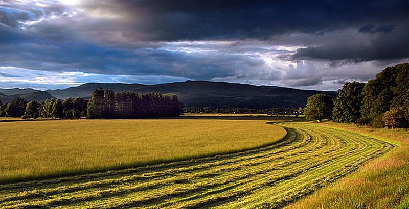 Self Catering in Scottish Boreders