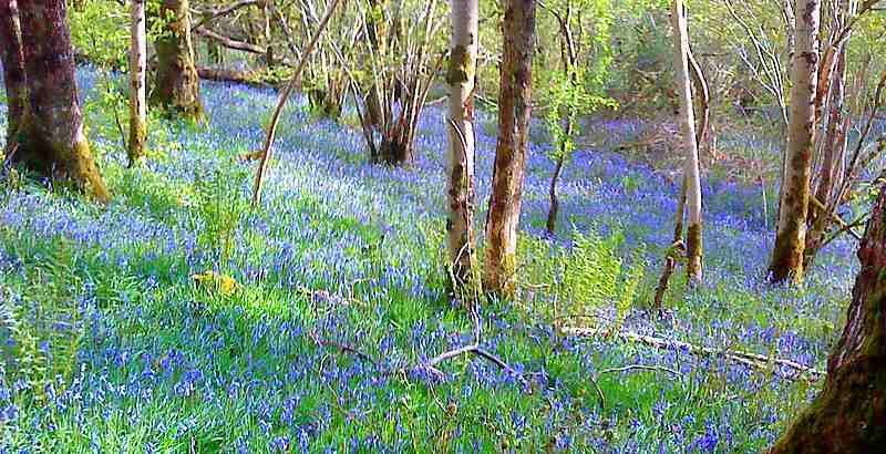 Self Catering in Scotland