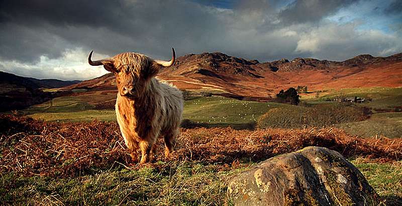 Self Catering in Scotland