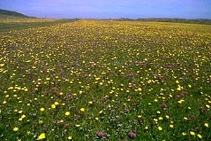 remote self catering western isles