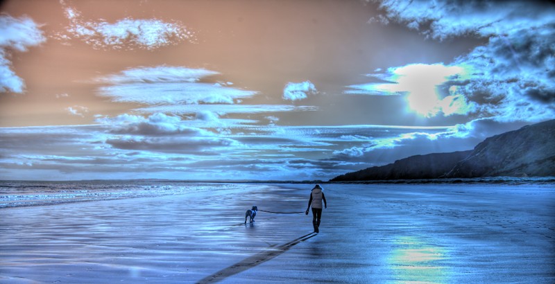 luxury cottage with pool Angus