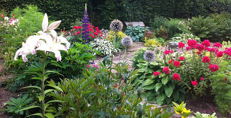 cottages horses welcome