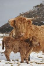 holidays in Scotland